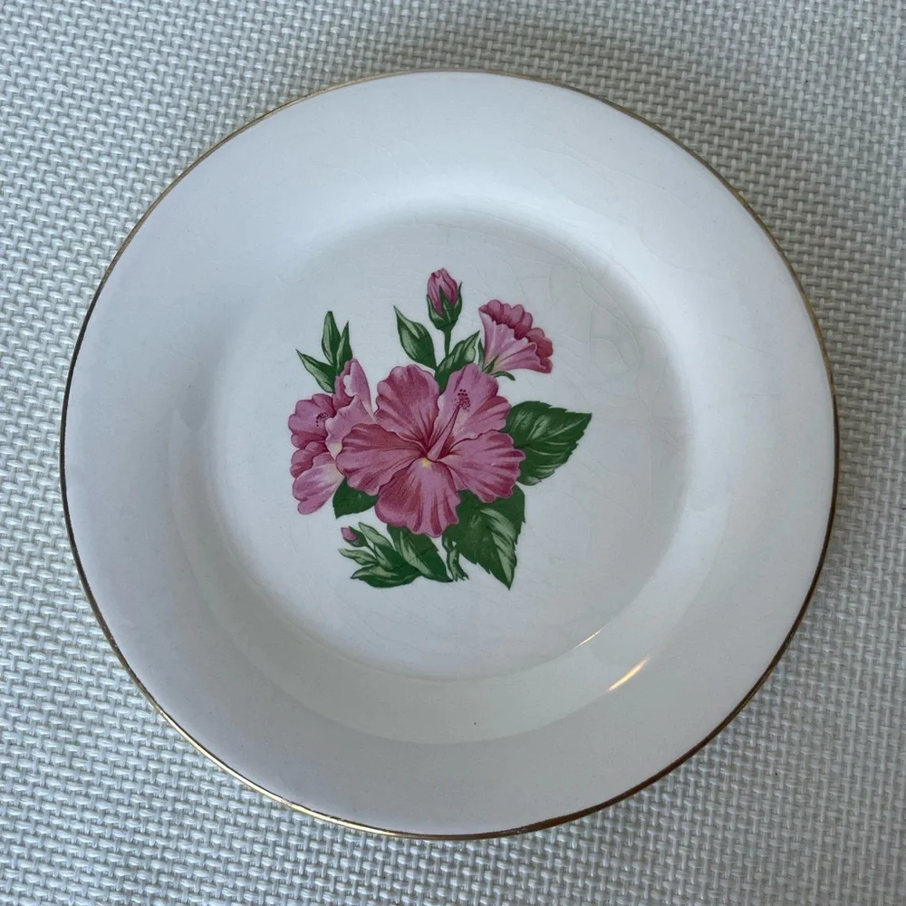 Lofisa Vintage Set Of 6 Plates Gold Rim Pink Flowers Guadalajara Mexico